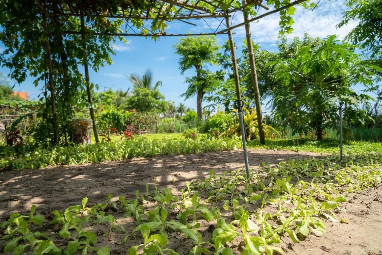 Tra Que Flowers Hoi An Homestay